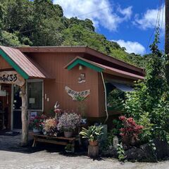 7月11日(金)11:30〜沖縄エコビレッジ『やんばるランチ会』