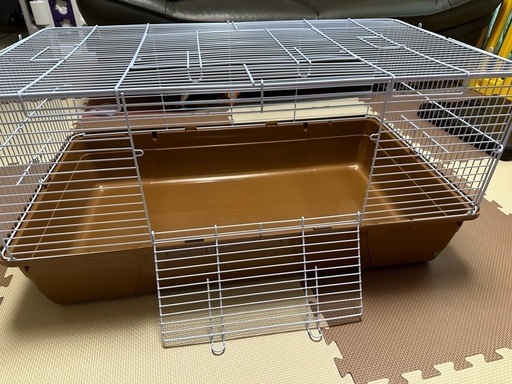 ハリネズミ飼育セット