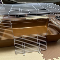 ハリネズミ飼育セット