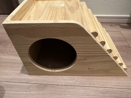 ハリネズミ飼育セット