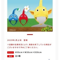 【美品】【タグなし】黄ピクミン　なりきり帽子の画像