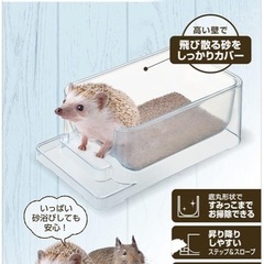 小動物のトイレ&お砂場の画像