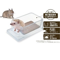 小動物のトイレ&お砂場の画像