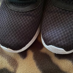 NIKE TANJUNスニーカーの画像
