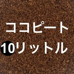 ココピート