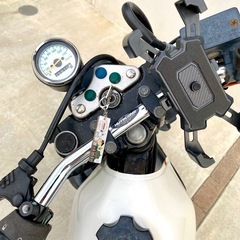 グラストラッカー250の画像