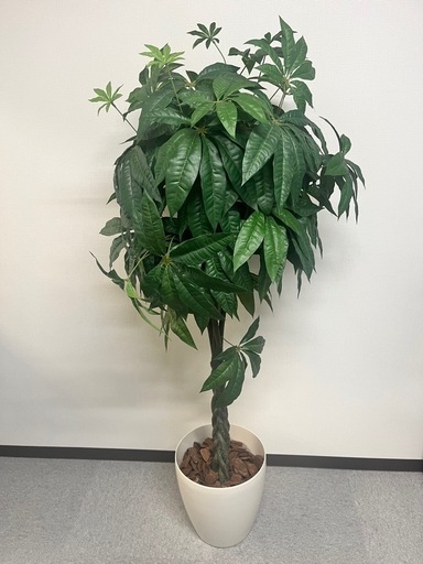 パキラ　フェイクグリーン　観葉植物