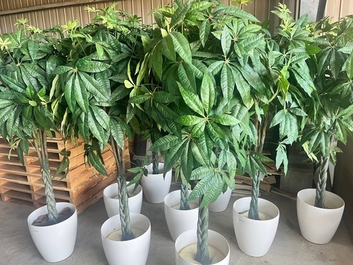 パキラ　フェイクグリーン　観葉植物