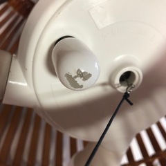 天)キシマ BAMBOO M LED 4灯の画像