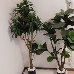 【まとめてのお取引優先】人工観葉植物 高さ120cm程度