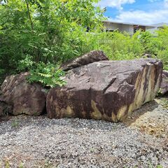 巨大　庭　石　日本庭園　下見歓迎　ユニック車などで搬出できる方限定