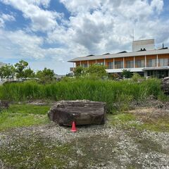 巨大　庭　石　日本庭園　下見歓迎　ユニック車などで搬出できる方限定の画像
