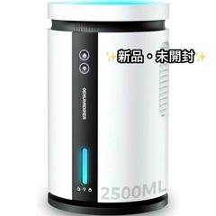 【大特価】除湿機 小型 除湿器 衣類乾燥 静音 LETCREN