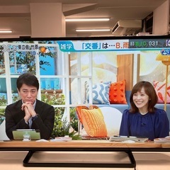 O2506-432 Panasonic 液晶カラーテレビ TH-...