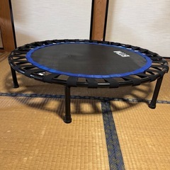 Luckystore トランポリン 耐荷重110kg 102cm ※値下げ可
の画像
