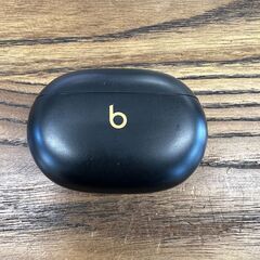 ⭐︎ケースのみ⭐︎　Beats Studio Buds + ワイ...