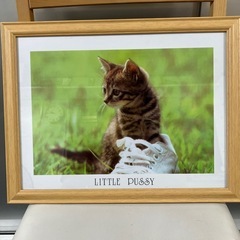 猫　写真　額縁　インテリア