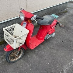 ホンダ　タクティー50 tacty 原付　バイク　スクーター