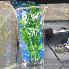水槽セット　色々まとめての画像
