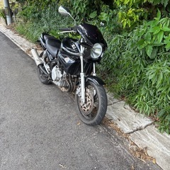 ヤマハ　ジール250⭐️