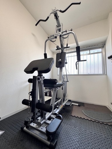 ライシン ホームジム LS-EXGYM トレーニングマシン（直接引き取り限定）