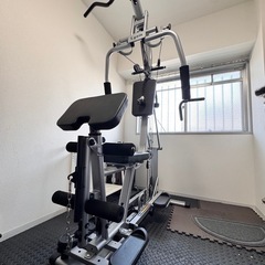 ライシン ホームジム LS-EXGYM トレーニングマシン（直接...