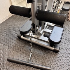 ライシン ホームジム LS-EXGYM トレーニングマシン（直接引き取り限定）
の画像