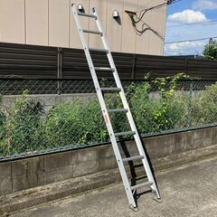 長谷川工業　１連はしご HC1-31