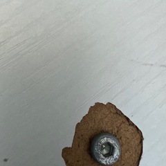 テーブルの画像