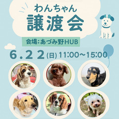 第１８回　わんちゃんの譲渡会