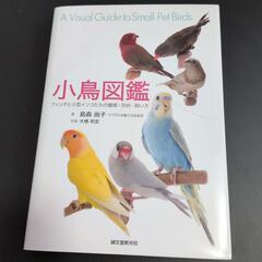 新品　小鳥図鑑　本