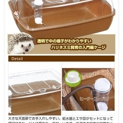 ケージの画像
