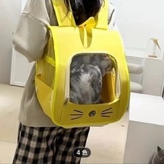 値下げ　
ペット用リュックの画像