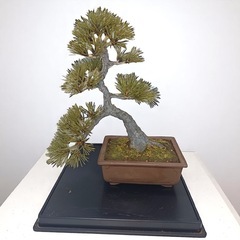 [八5656]  アートフラワー　ハンドメイド盆栽　造花
