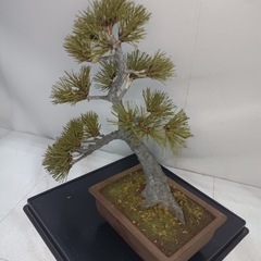 [八5656]  アートフラワー　ハンドメイド盆栽　造花の画像