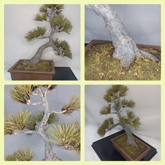 [八5656]  アートフラワー　ハンドメイド盆栽　造花の画像