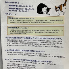 保護猫活動のお手伝いしてくださる方募集しています！