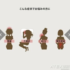 値下げ★電位治療器イオネスの画像