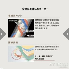 値下げ★電位治療器イオネスの画像