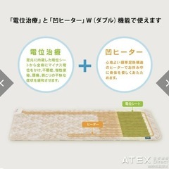 値下げ★電位治療器イオネスの画像