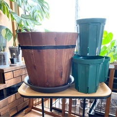 植木鉢×5個と植木鉢のお皿1個