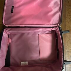 自宅引取　PRIVATE LABEL　スーツケース　キャスター２個付き　横300×奥行170×高さ495ｍｍの画像