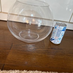 ガラス製 球形金魚鉢の画像