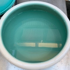 水鉢30cm