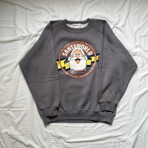 80年代 ビンテージ トリコタグ Champion チャンピオン REVERSE