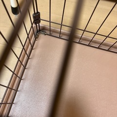 数日使用のみ美品ペットサークルmini の画像