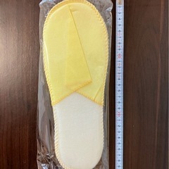 不織布スリッパの画像