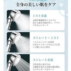 ナノシャワーヘッドの画像