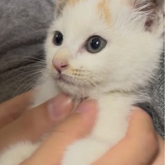 生後2ヶ月（女の子🐈‍⬛🎀）