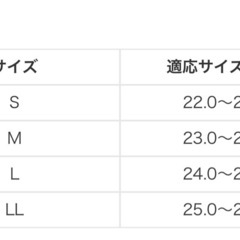 レインシューズ（スニーカー
）の画像